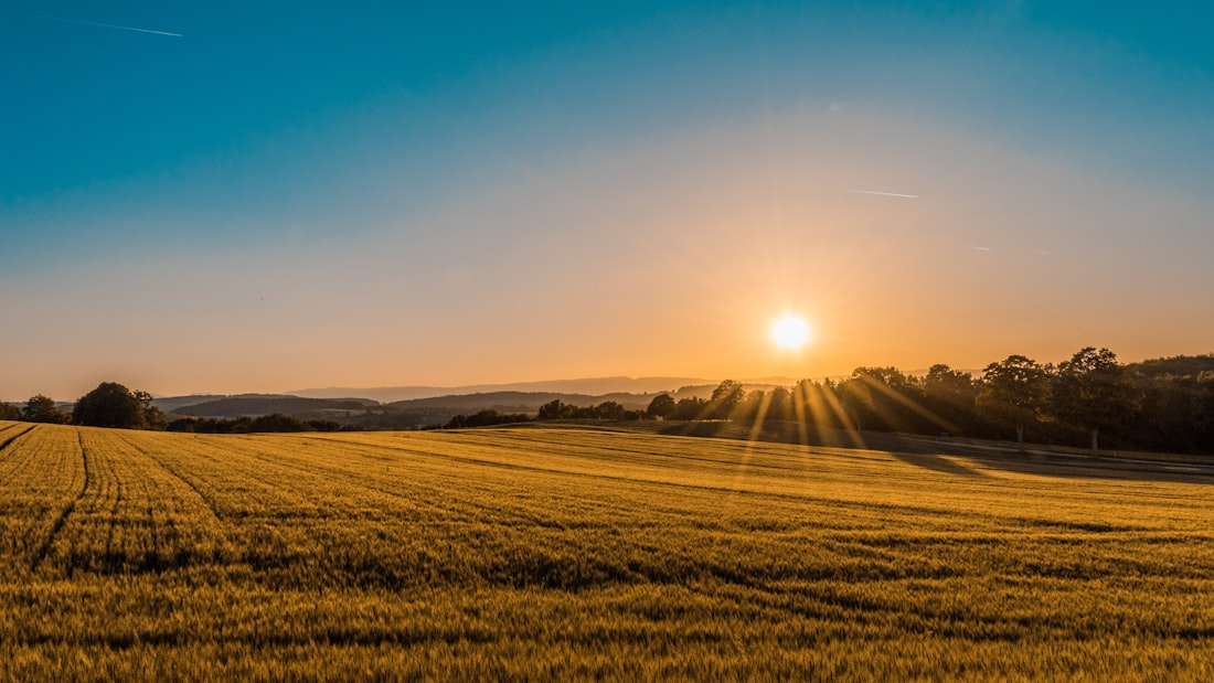 Terreno de loteamento ao pôr do sol, com parcelamento e cobrança automatizados pela Flowbill